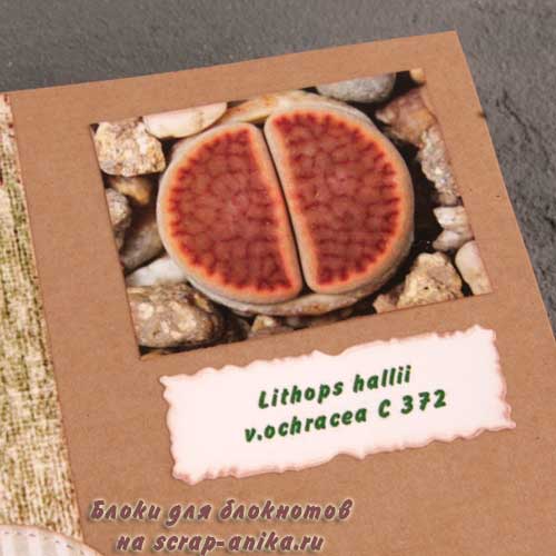 скрап аника, литопсы, джанк бук по литопсам, скрапбукинг ботаника, ботанический стиль, в стиле ботаники